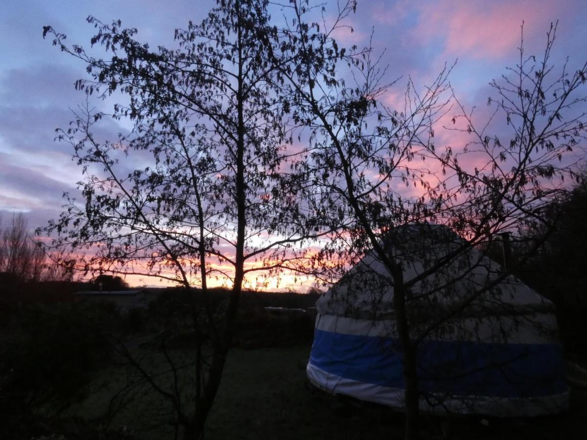 Whitegate  Inch Hideaway Eco Camping מראה חיצוני תמונה