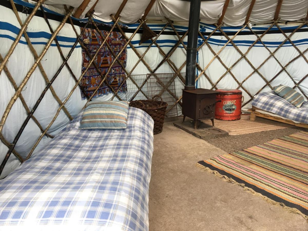 Whitegate  Inch Hideaway Eco Camping מראה חיצוני תמונה