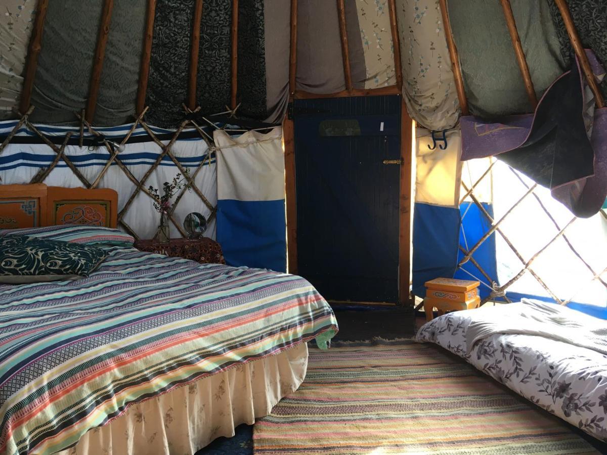 Whitegate  Inch Hideaway Eco Camping מראה חיצוני תמונה