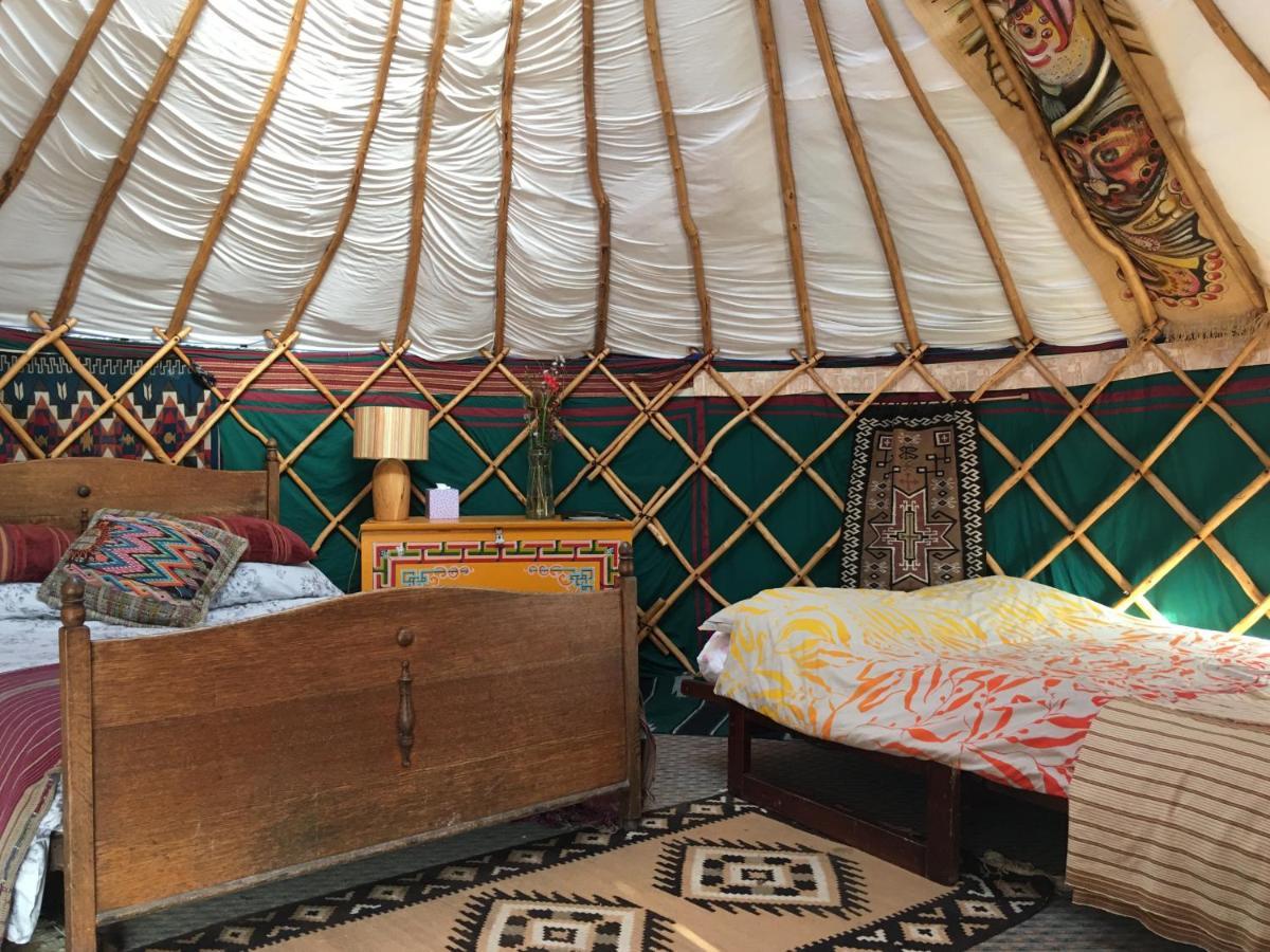 Whitegate  Inch Hideaway Eco Camping מראה חיצוני תמונה