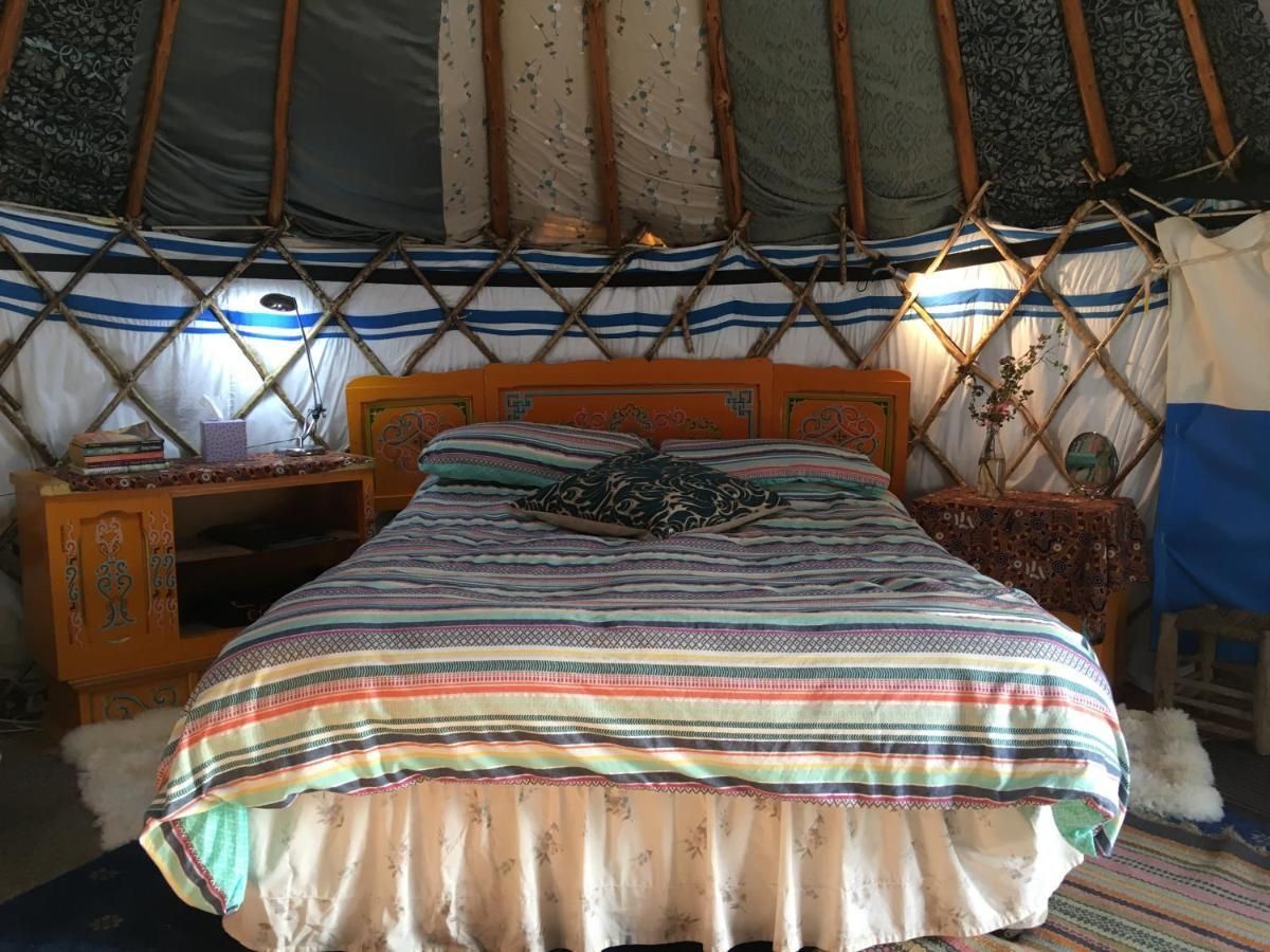 Whitegate  Inch Hideaway Eco Camping מראה חיצוני תמונה