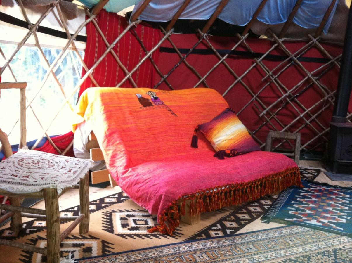 Whitegate  Inch Hideaway Eco Camping מראה חיצוני תמונה