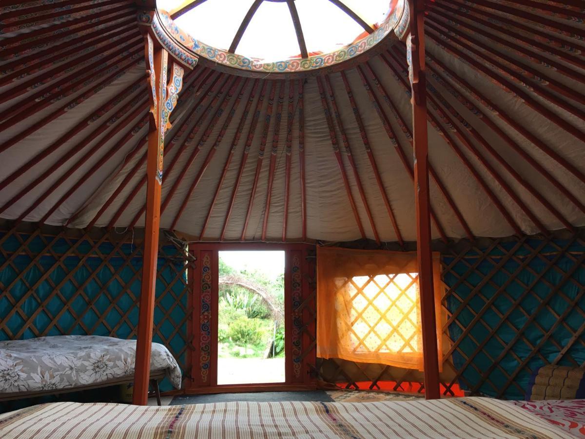Whitegate  Inch Hideaway Eco Camping מראה חיצוני תמונה