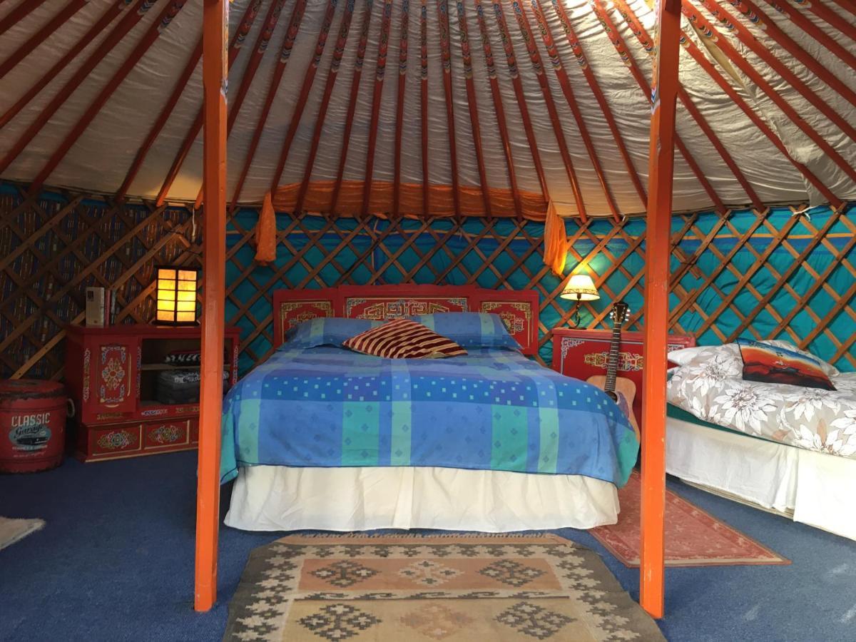 Whitegate  Inch Hideaway Eco Camping מראה חיצוני תמונה