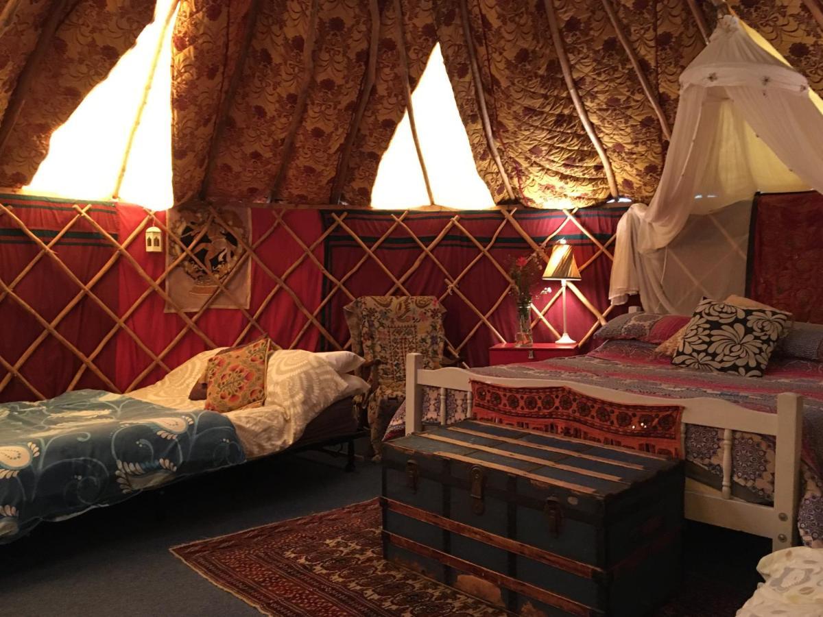 Whitegate  Inch Hideaway Eco Camping מראה חיצוני תמונה