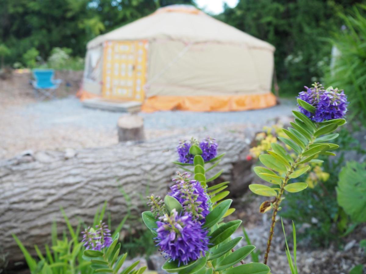 Whitegate  Inch Hideaway Eco Camping מראה חיצוני תמונה