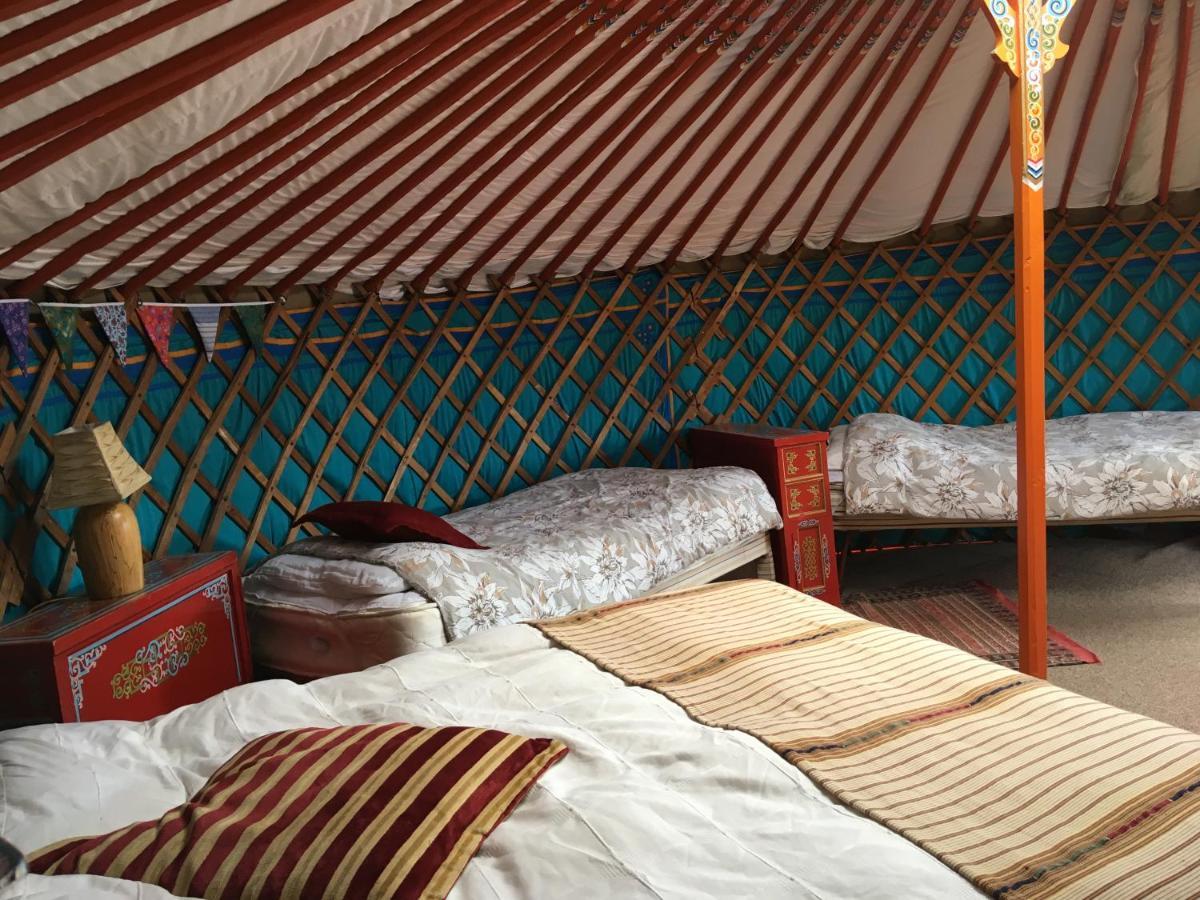 Whitegate  Inch Hideaway Eco Camping מראה חיצוני תמונה