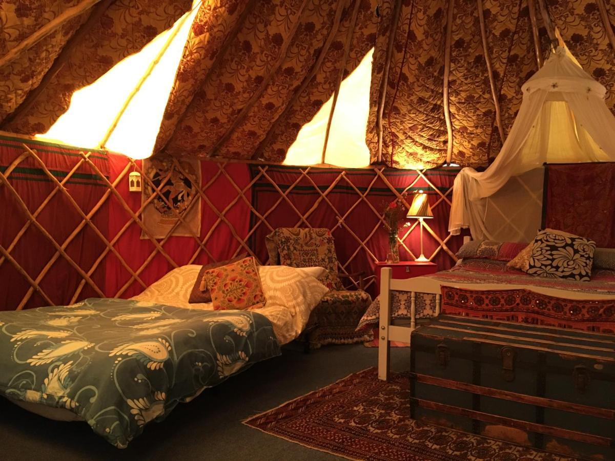 Whitegate  Inch Hideaway Eco Camping מראה חיצוני תמונה