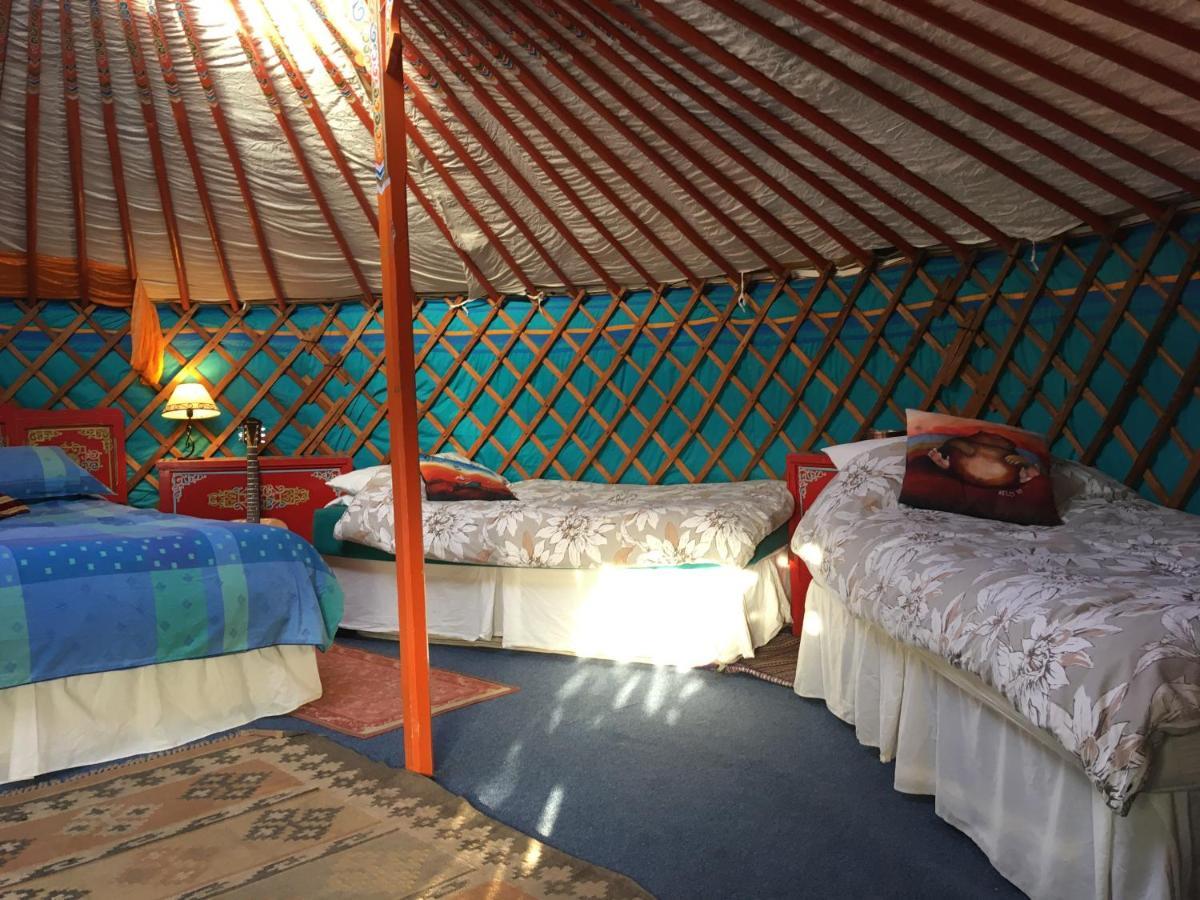 Whitegate  Inch Hideaway Eco Camping מראה חיצוני תמונה